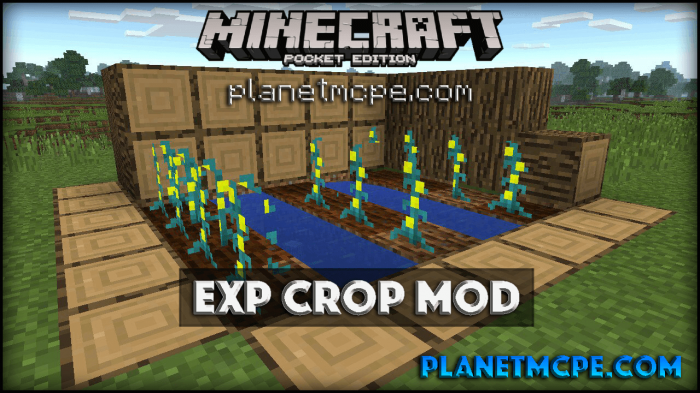Exp Crop Mod 0.14.1