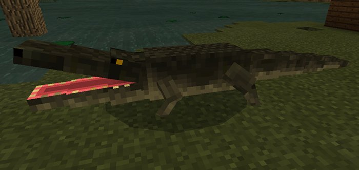 Download Alligator Addon for Minecraft Pocket Edition 1.9