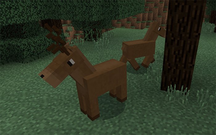 Download Addon ZooCraft for Minecraft Bedrock 1.9 - Android | PlanetMCPE